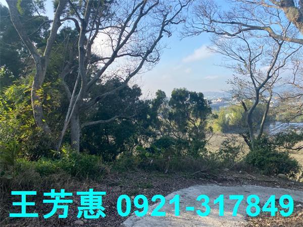 台中外埔農地-1