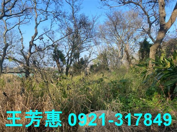 台中外埔農地-2