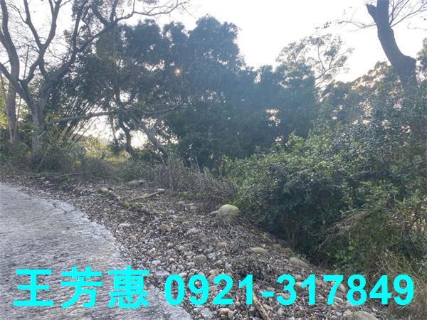 台中外埔農地-4