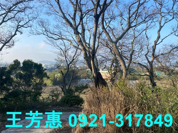 台中外埔農地-5