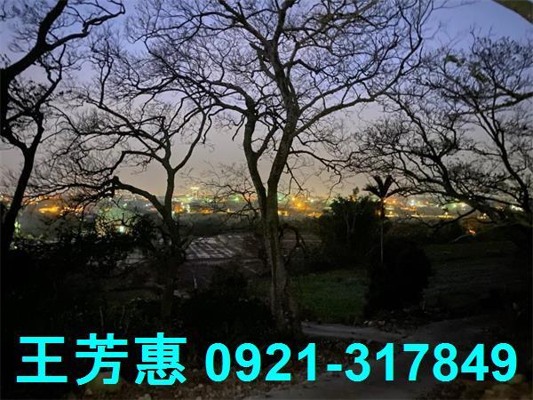 台中外埔農地-8