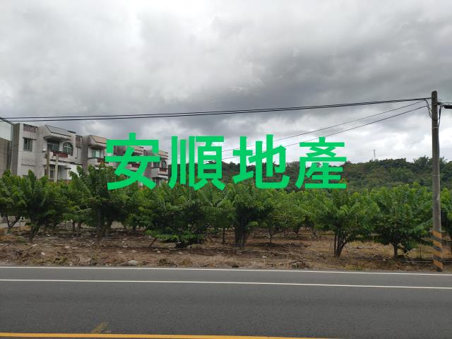 台東卑南農地-5