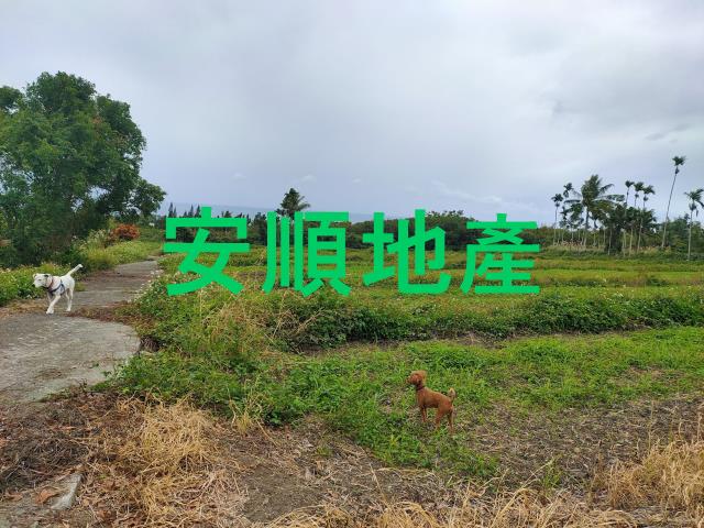 東河農地-11