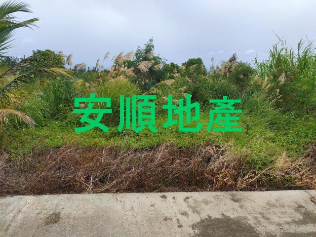 東河農地-3
