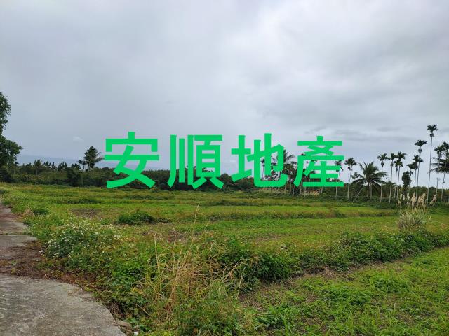 東河農地-9