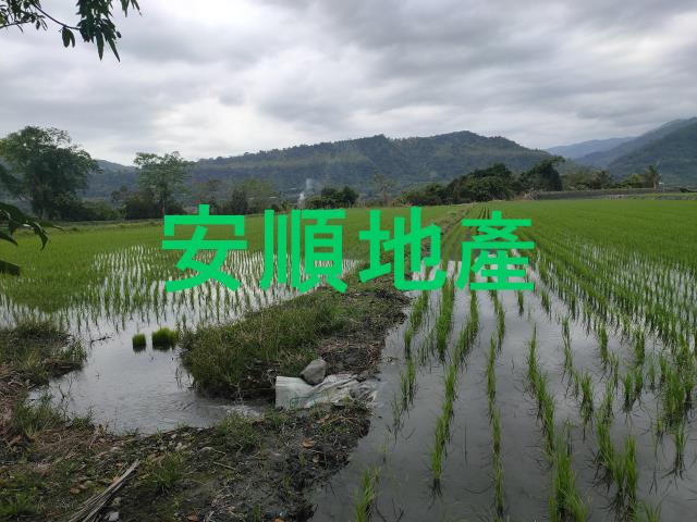 台東鹿野農地-7