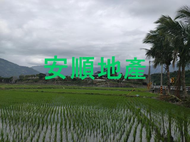 台東鹿野農地-9