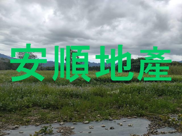 台東鹿野農地-8