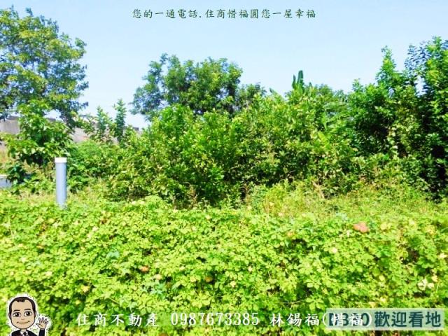 北區建地-2