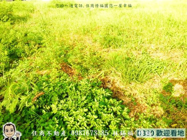 北區建地-6