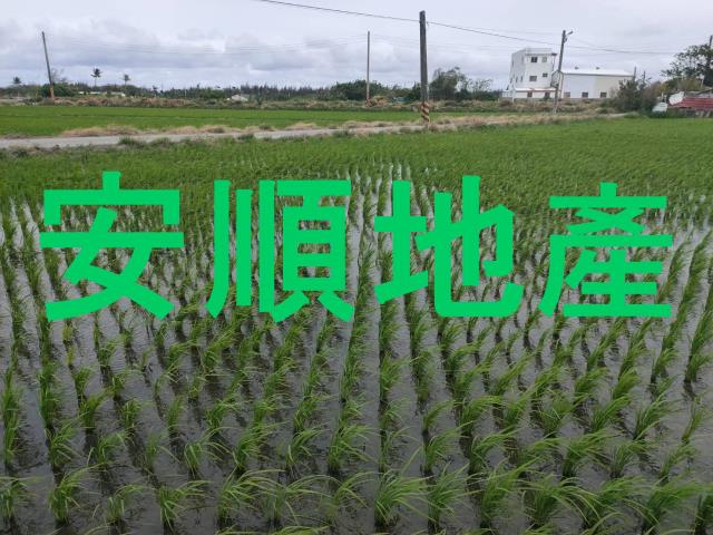 台東台東市農地-2