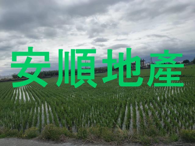 台東台東市農地-4