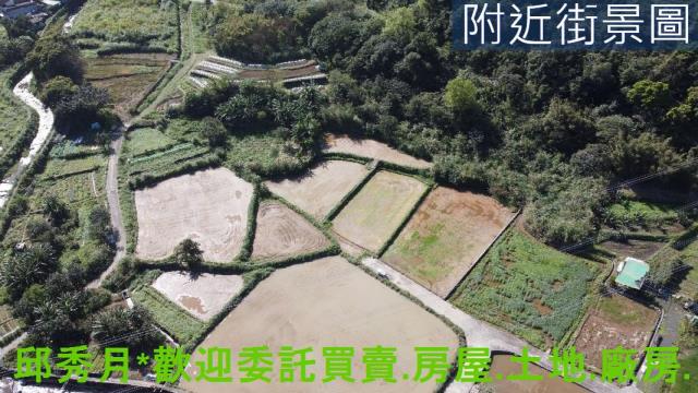 金山農地-3