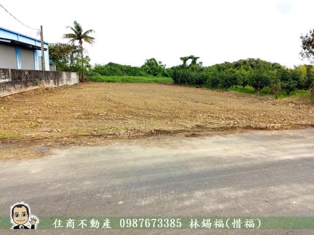 台南農地-2