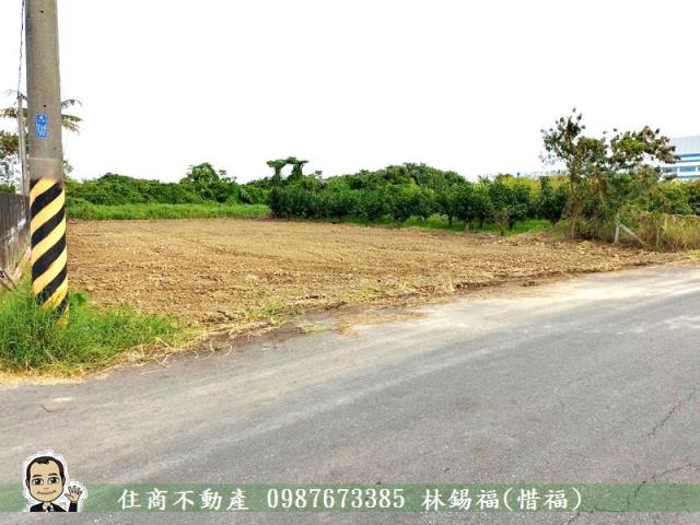 台南農地-4