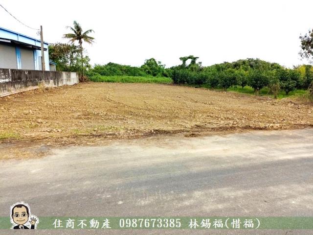 台南農地-8
