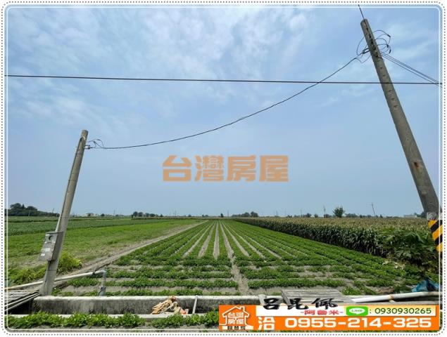 雲林四湖農地-5
