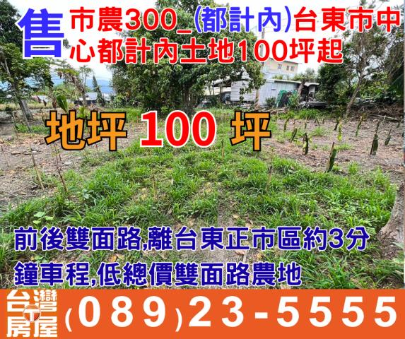 台東農地-1
