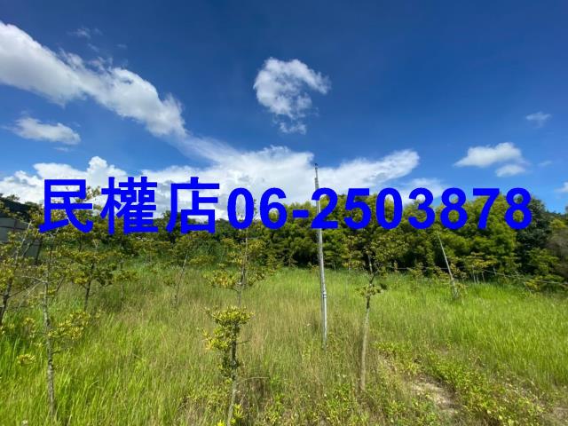 六甲農地-13