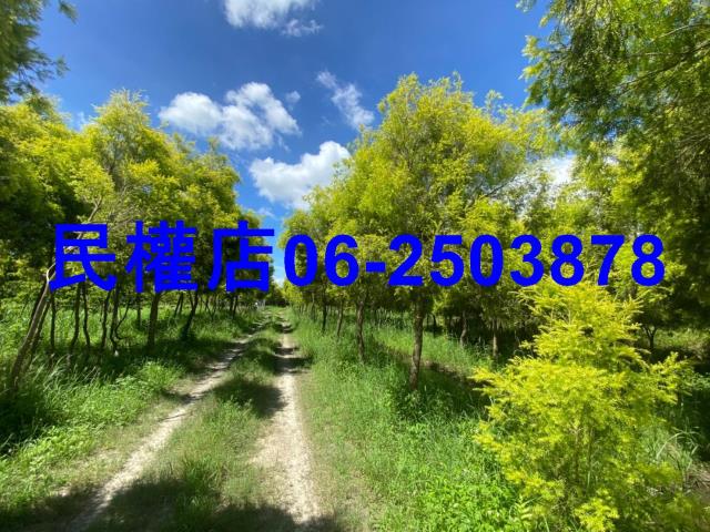六甲農地-6