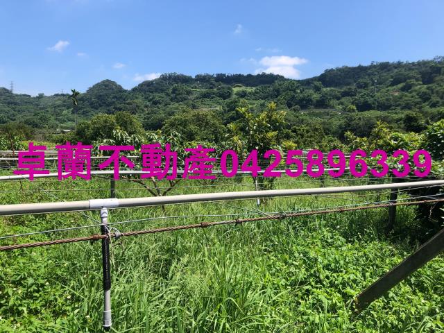 苗栗卓蘭農地-6