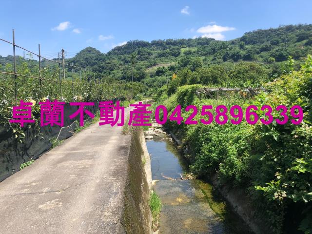 苗栗卓蘭農地-8