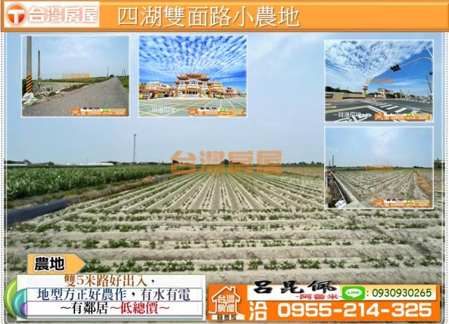 四湖農地-1