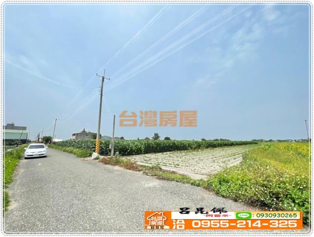 四湖農地-8
