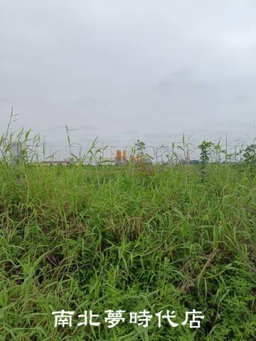 台南麻豆工業地-3