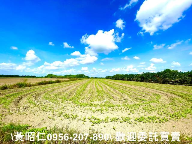 台南善化農地-2