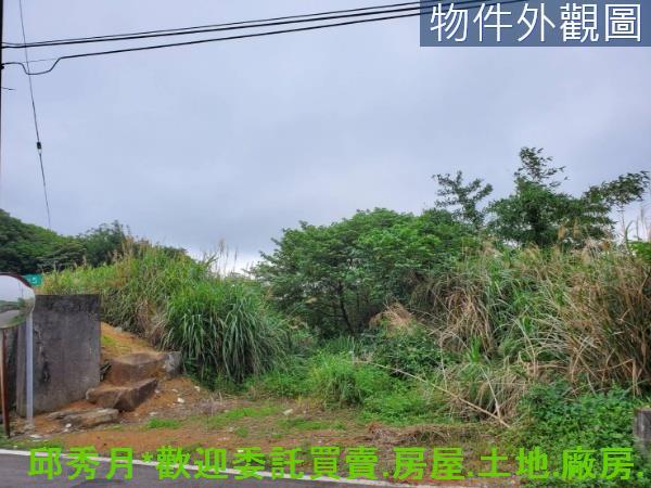 新北石門農地-5