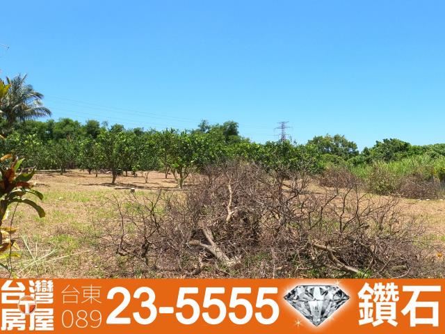 台東土地