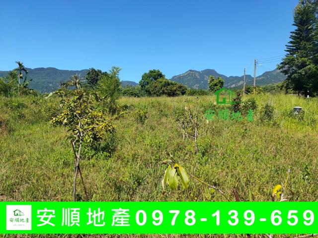 成功農地-4