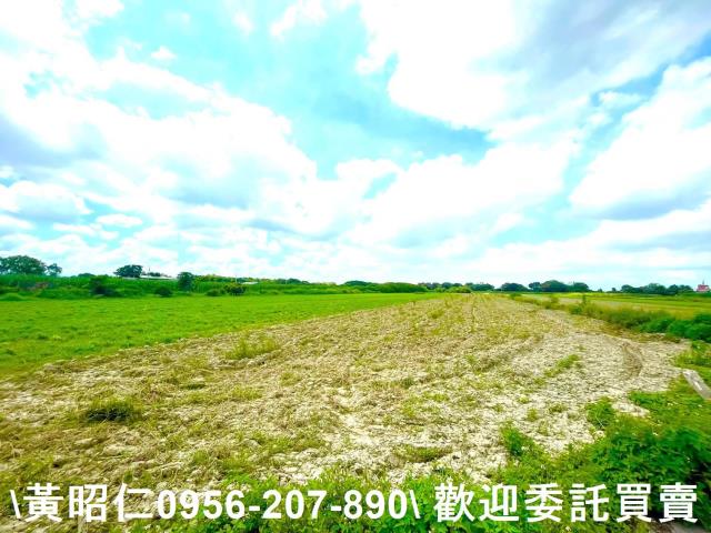 善化農地-1