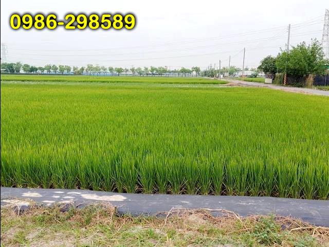 台南白河農地-2