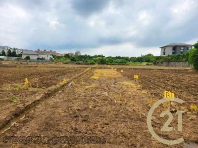 桃園平鎮農地-15