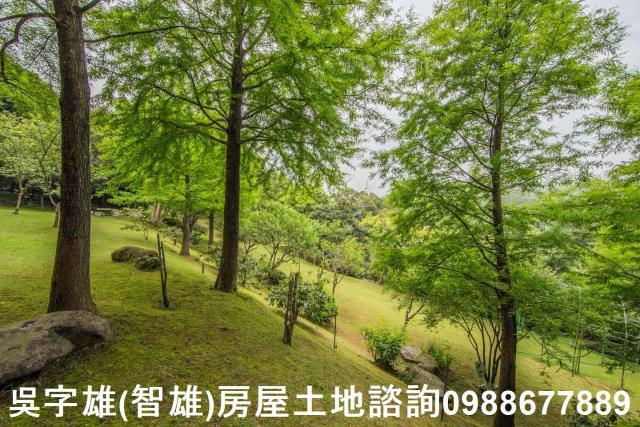 台北農地-9