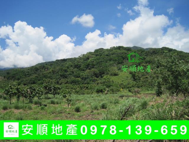 成功農地-3
