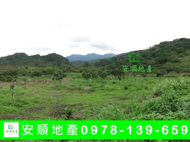 成功農地-4