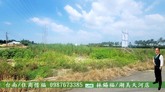 新市農地-4