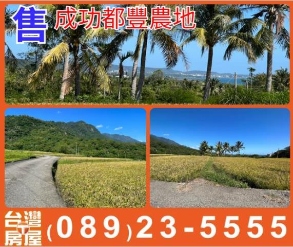 成功都豐農地