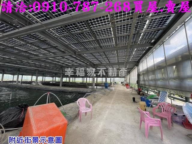 七股養殖地-15