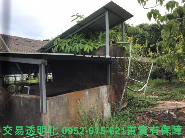 台南白河農地-10