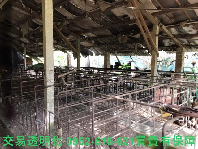 台南白河農地-4