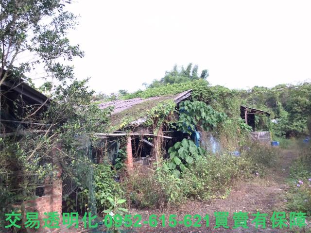 台南白河農地-5