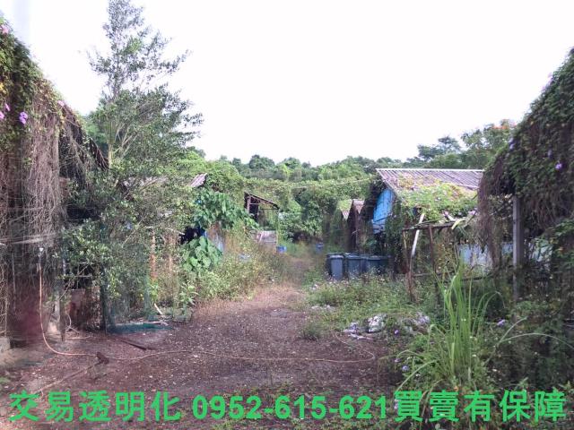 台南白河農地-9