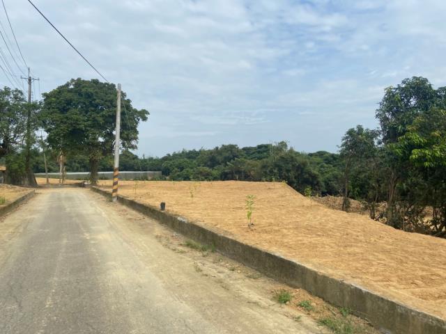 台南大內農地-2