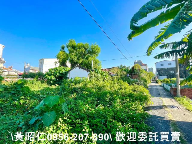 善化建地-5