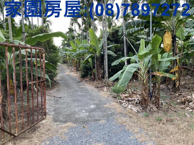 屏東潮州農地-3