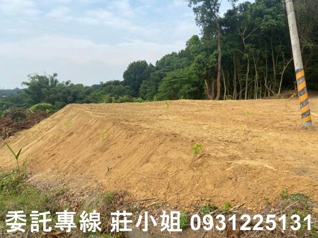 大內農地-10